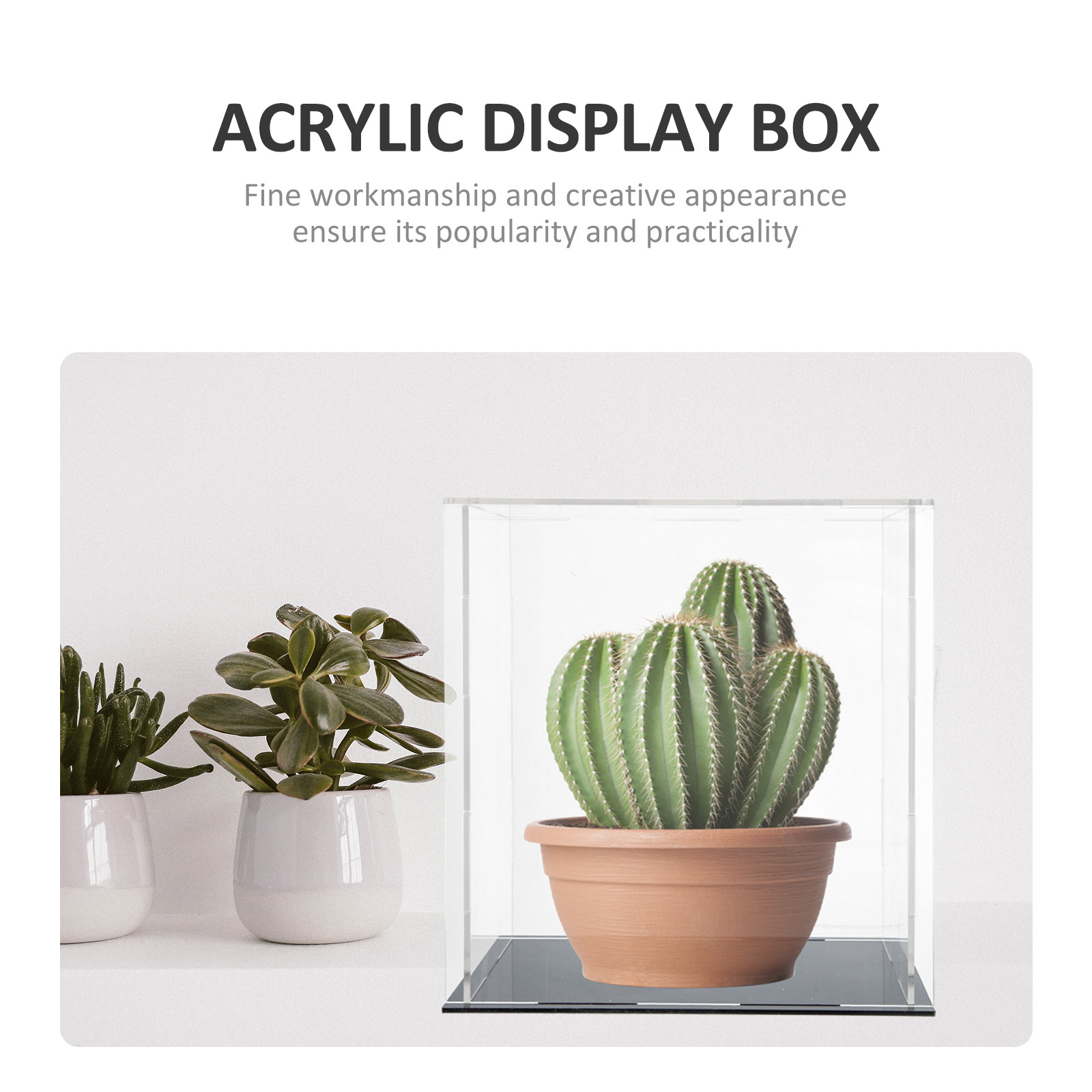 Прочная акриловая витрина для  – обзор и цена Display Case Acrylic