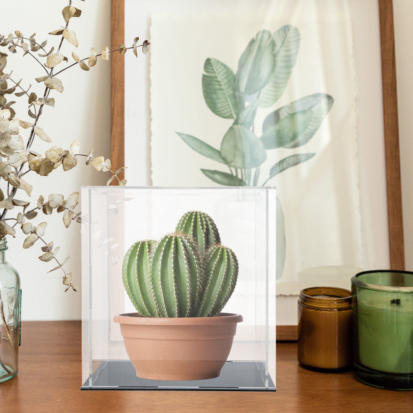Прочная акриловая витрина для  – обзор и цена Display Case Acrylic
